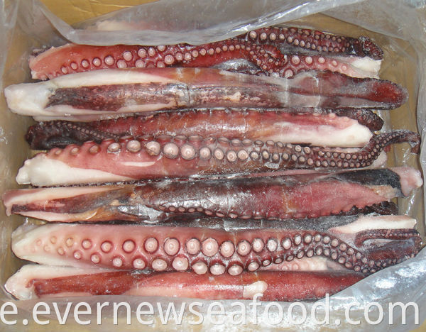 Gefrorener Tintenfisch gekochtes geschnittenes Bein